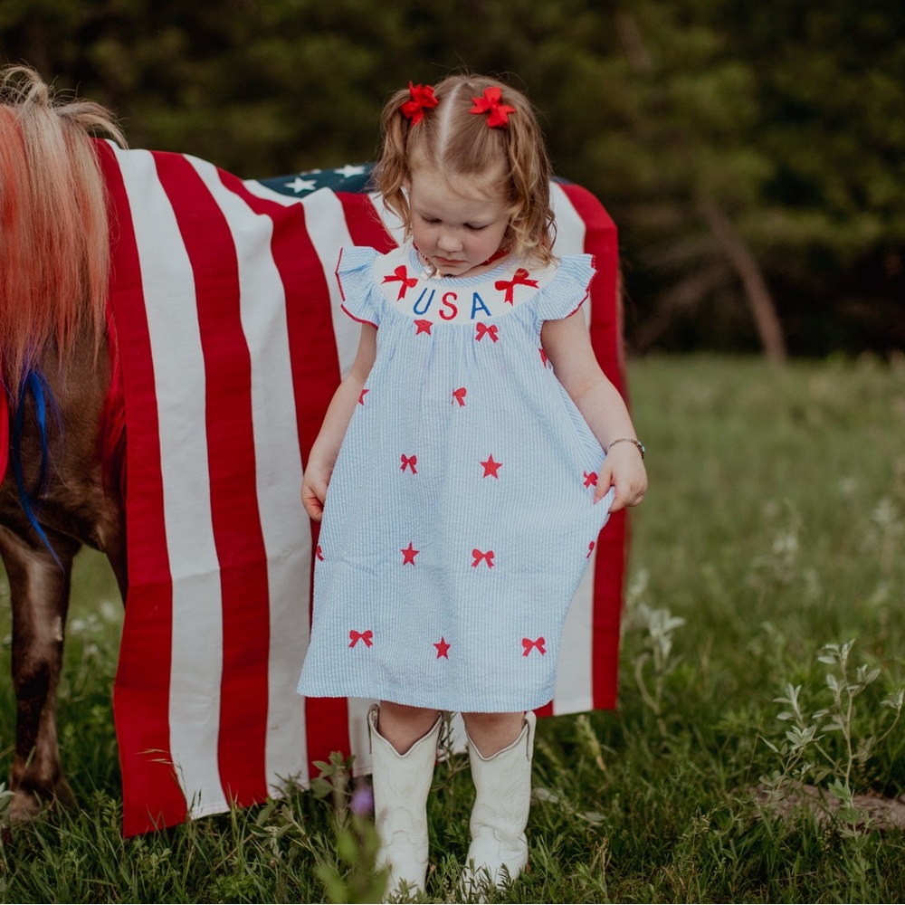 USA Themed Blue Dress with Red Stars